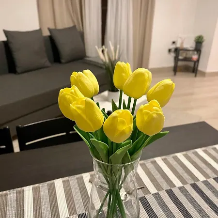 Apartment House Toledo *