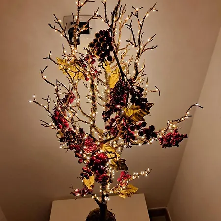 House Toledo * Naples