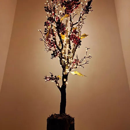 House Toledo Lejlighed *